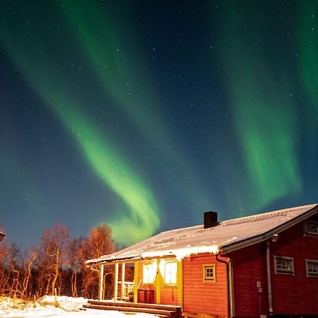 Trivelig Hytte I Senja. Dış mekan fotoğraf