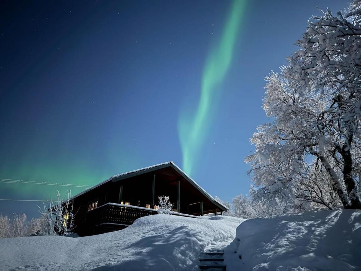 Trivelig Hytte I Senja. Dış mekan fotoğraf