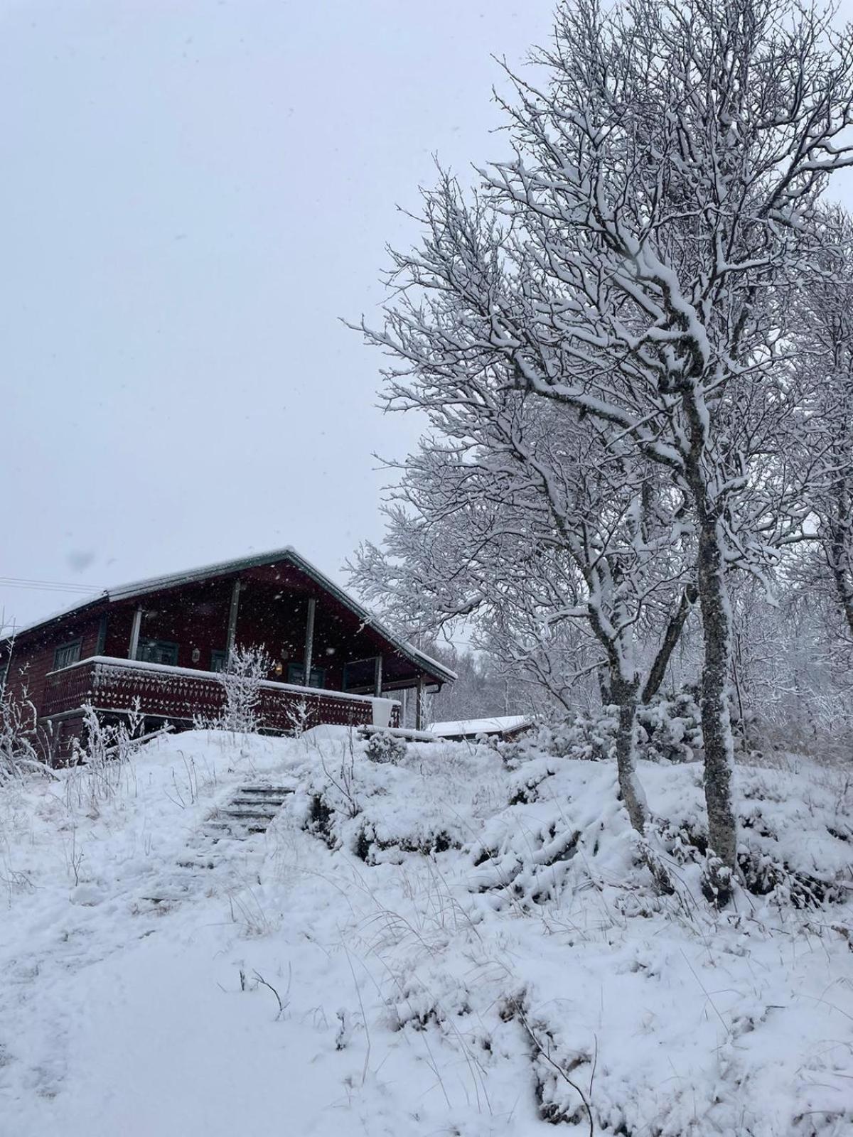 Trivelig Hytte I Senja. Dış mekan fotoğraf